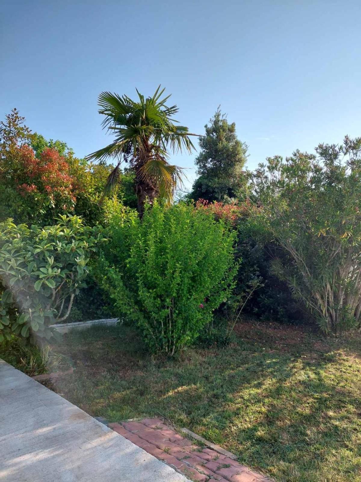 Ferienwohnung Soline Ada Pjescana Uvala Exterior foto